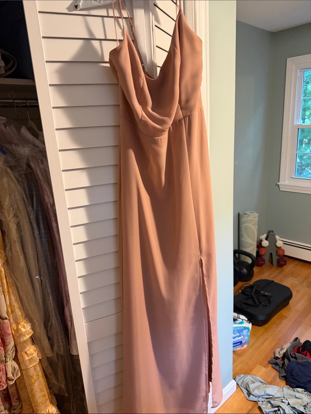 Birdy Grey Amy Chiffon Blush a pink
